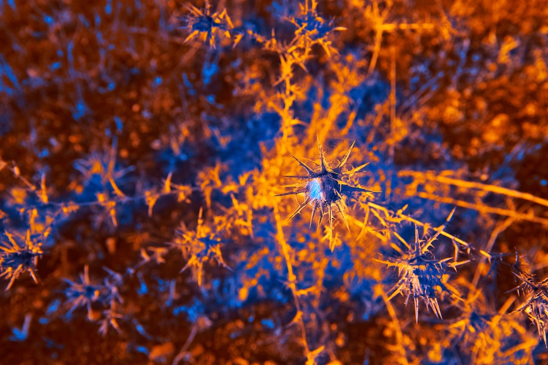 EMF and Your Nervous System: Can Electromagnetic Fields…