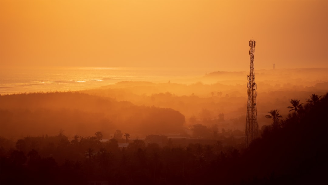 The 10 Most Common Disguised Tower Types