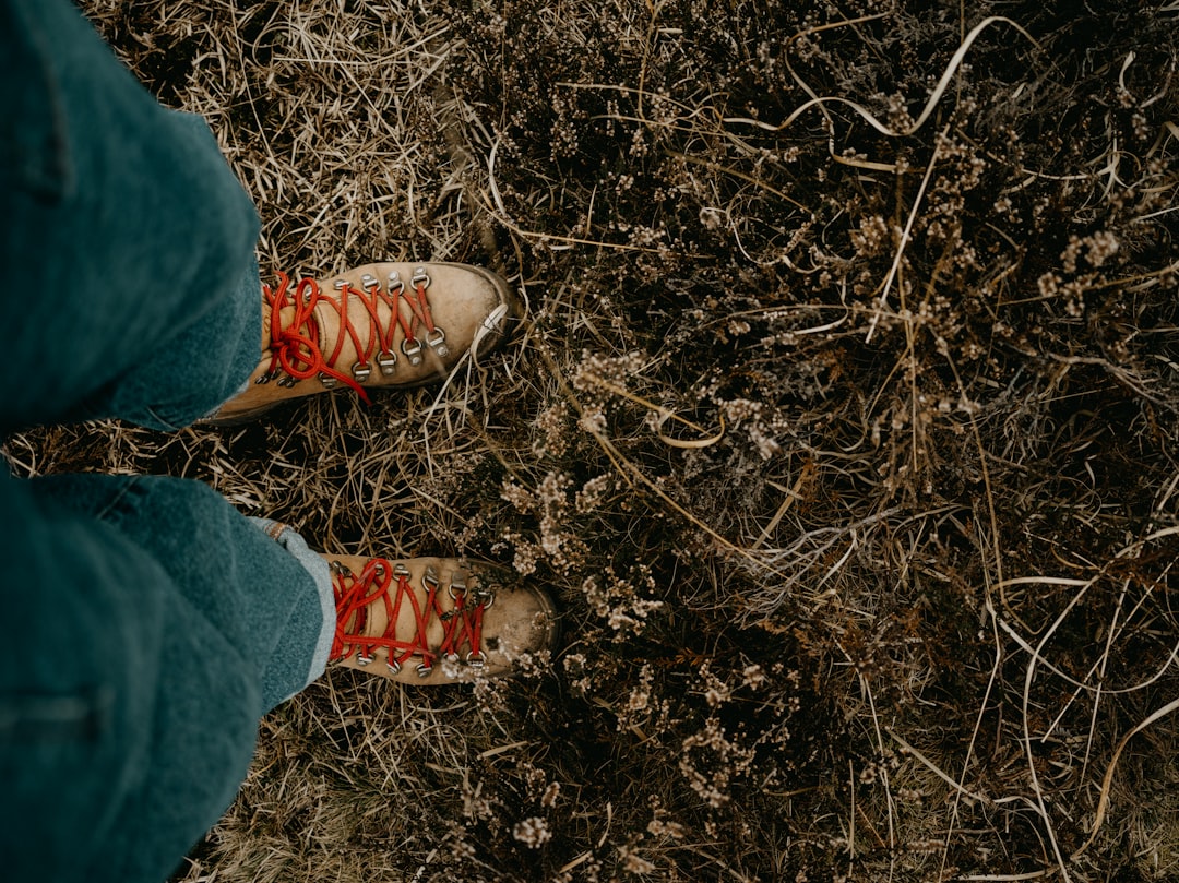 Does Grounding Specifically Help with EMF Exposure?