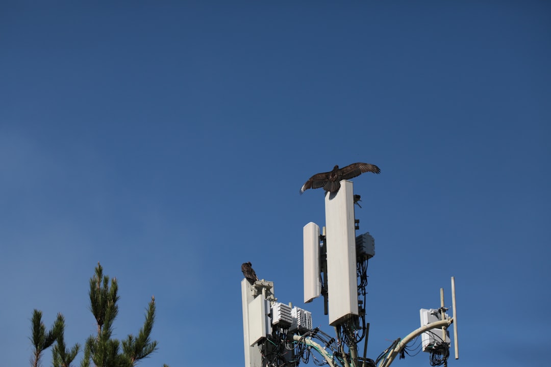 Why This Is Different