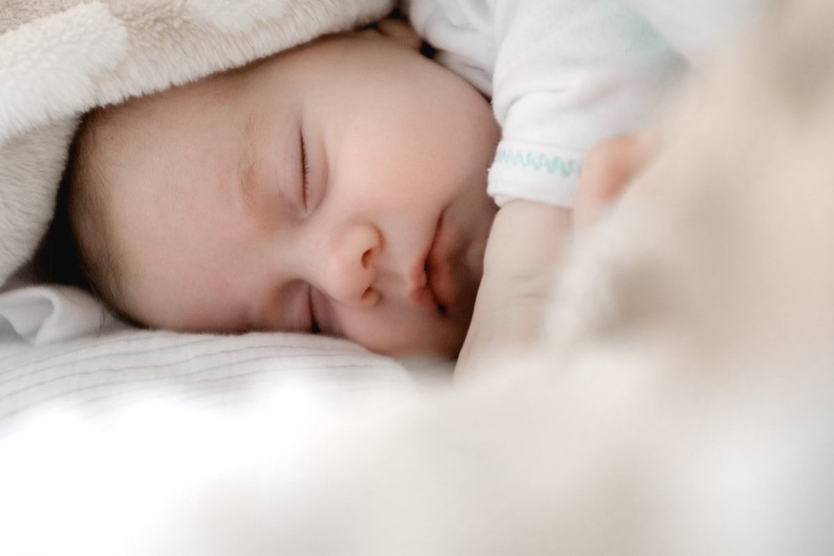 EMF and Miscarriage: What the Research Says About…