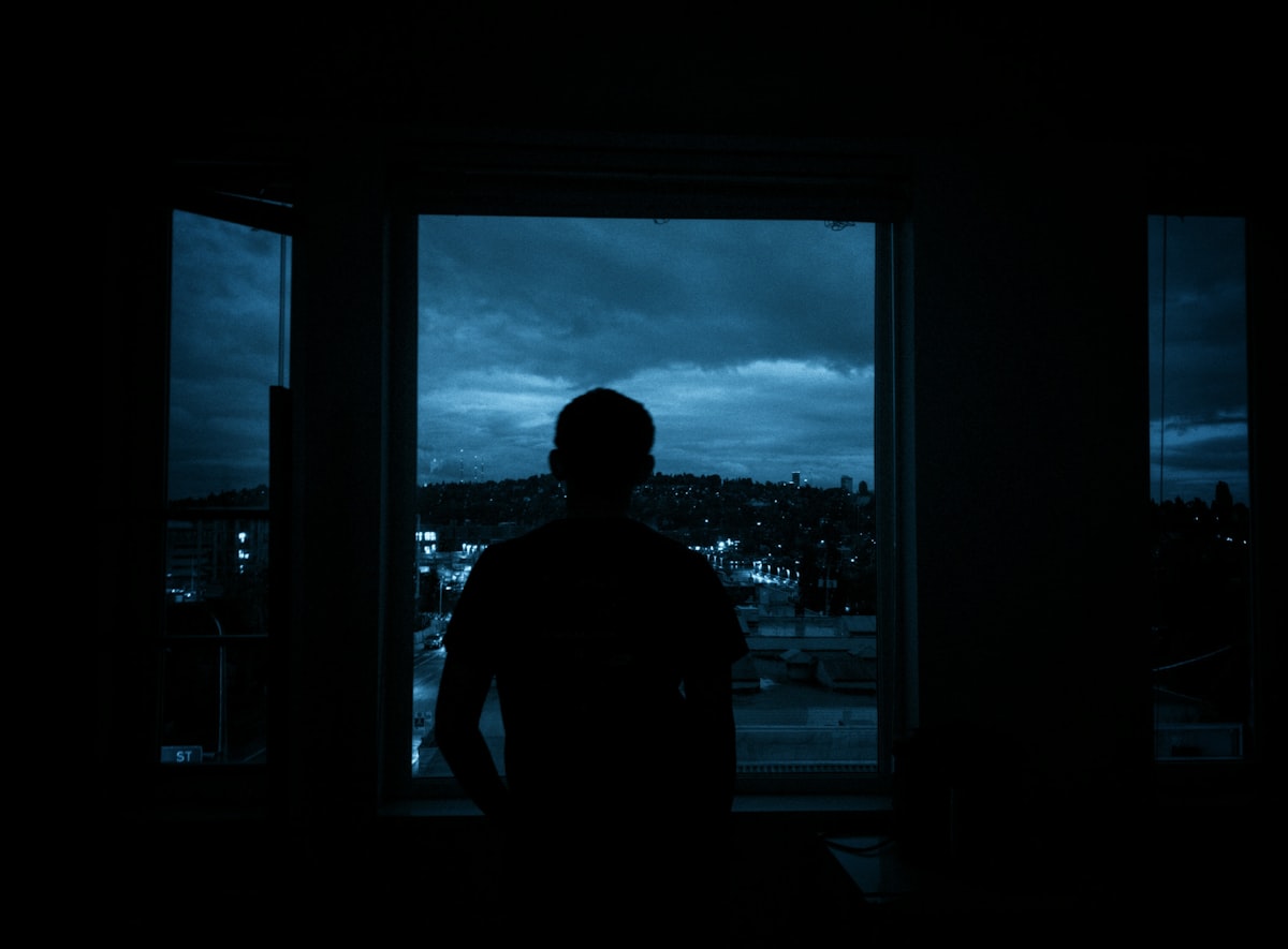 Silhouette gazing out at a city at night — artificial light has fundamentally changed our electromagnetic environment