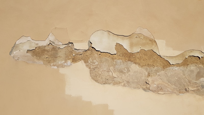 Moisture damage and peeling paint on an interior wall — the same buildings with mold problems often have EMF issues too