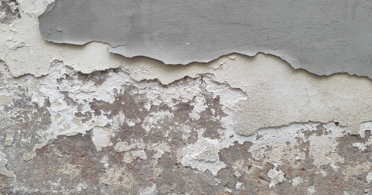 EMF and Mold: The Overlap Between Electromagnetic…
